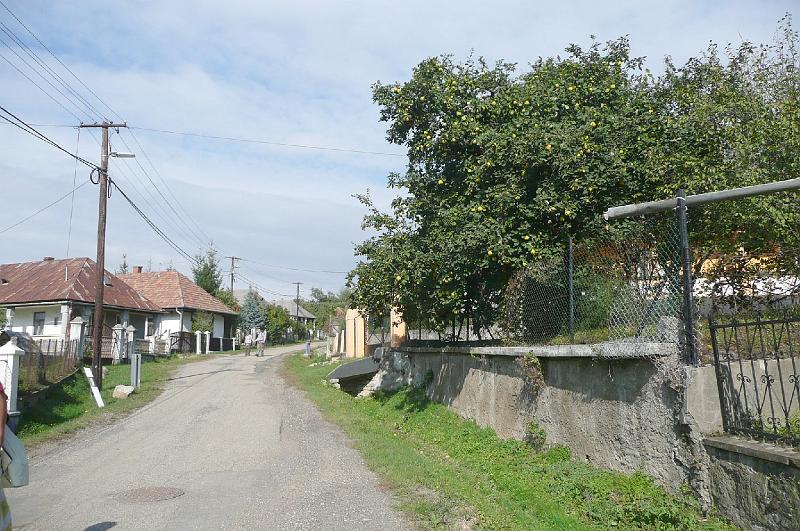 20121013 093.jpg